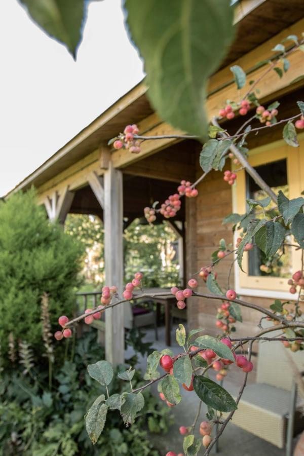 Chalet Ben In Broek Benningbroek Ngoại thất bức ảnh