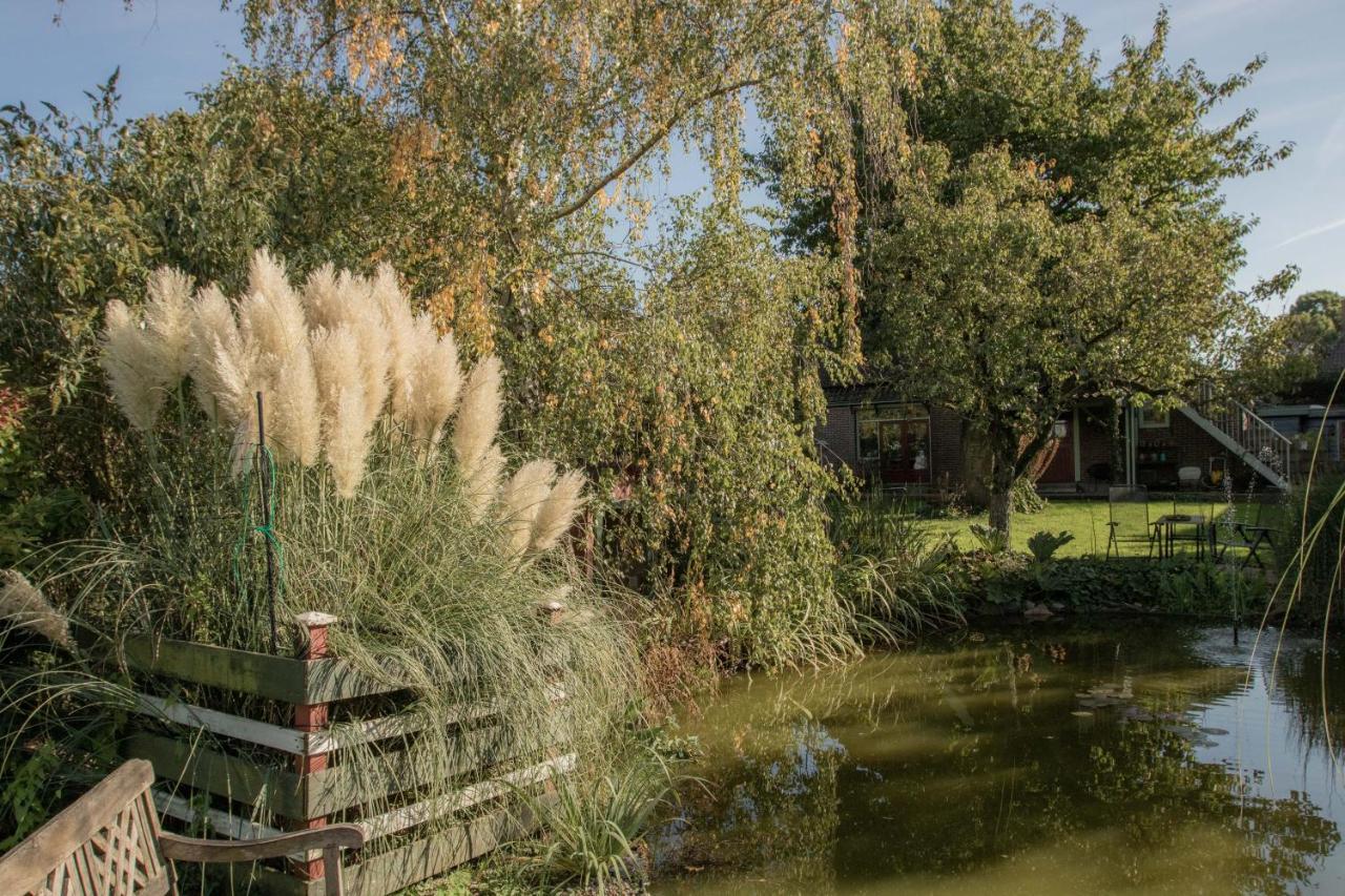 Chalet Ben In Broek Benningbroek Ngoại thất bức ảnh